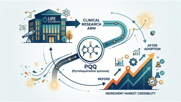 Life Extension: The Pioneer of Mitochondrial Support