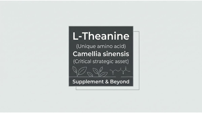 The Clinically Proven Natural L-Theaninefor Stress-Free Focus