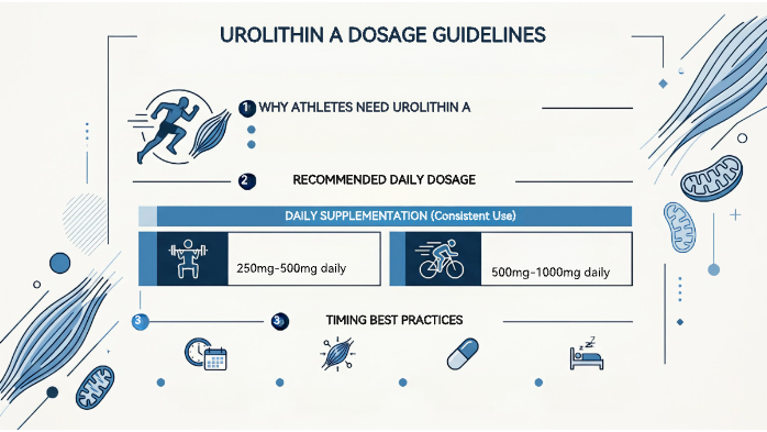 Urolithin A Dosage Guidelines for Muscle Recovery in High-Level Athletes