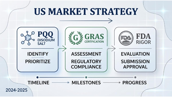 Navigating PQQ Disodium Salt US Market Strategy