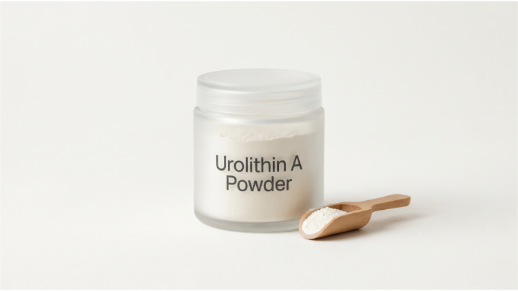Melting Point and Solubility Profile of Pure Urolithin A Powder